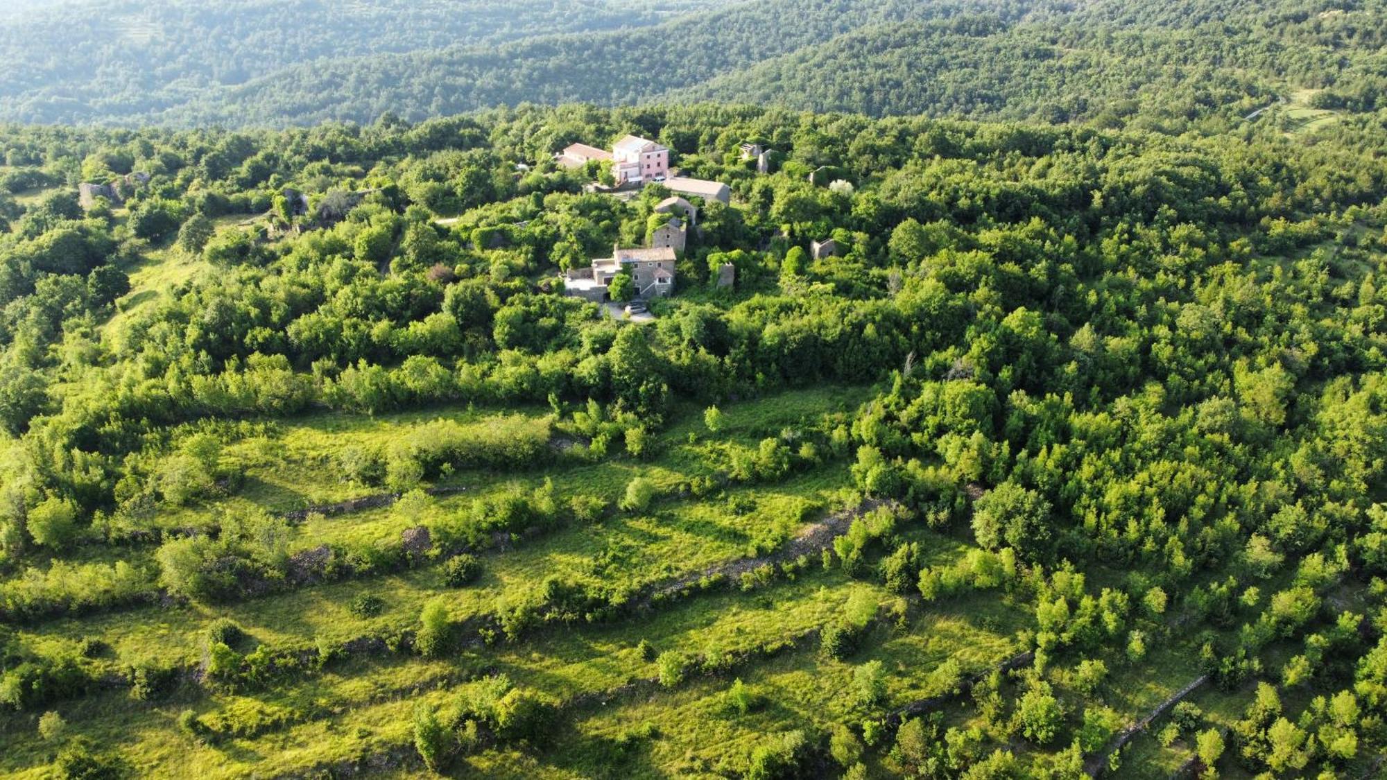 그로즈냔 Casa Del Conte - Peaceful Hideaway In North Istria 빌라 외부 사진